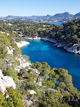 CORSICA